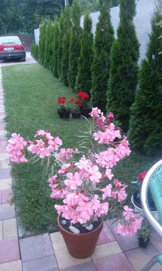 Holiday Home In Keszthely/Balaton 39648 Εξωτερικό φωτογραφία